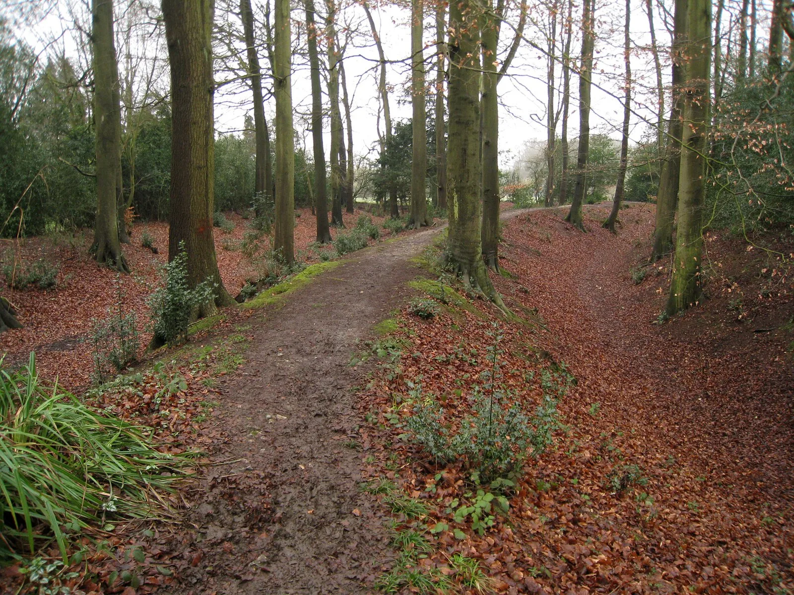 Cholesbury